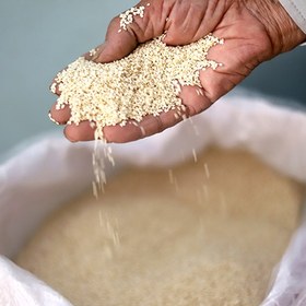 تصویر کنجد سفید کیلویی 