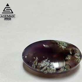 تصویر شجر S71 