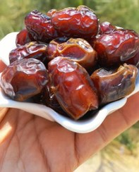 تصویر خرما بریمی 