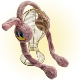 تصویر گوشگیر اردکی 