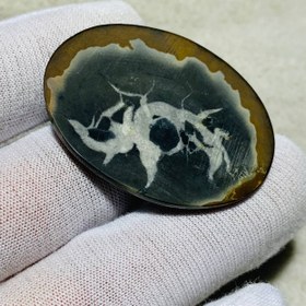 تصویر نگین سپتارين اصل سایز 34*45 میلی‌متر 