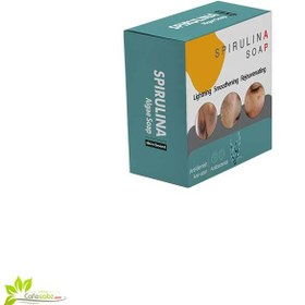 تصویر صابون ضد لک جلبک 