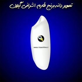 تصویر برنج طارم اشرافی گیلان کشت دوم 20 کیلوگرم برنج آنلاین 