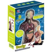 تصویر اسباب بازی مدل آناتومی بدن طرح 8 قطعه کد 027 