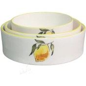 تصویر ست ظروف پذیرایی مدل لیمویی 