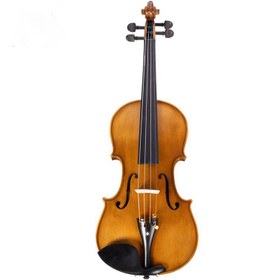 تصویر ویولن فونیکس مدل MVZ301E سایز ۴/۴ 