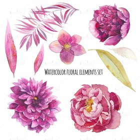 تصویر عکس با کیفیت نقاشی المنت های جذاب گل با آبرنگ 