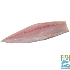 تصویر ماهی قباد کامل 