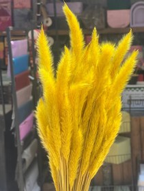 تصویر گل خشک دم روباهی زرد 