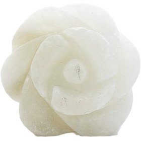 تصویر سنگ نمک طرح گل 