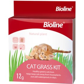 تصویر بسته بذر علف گربه کت نیپ بایولاین برای نشاط گربه Bioline Cat Grass Kit 20g