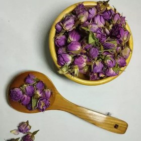 تصویر غنچه گل محمدی 