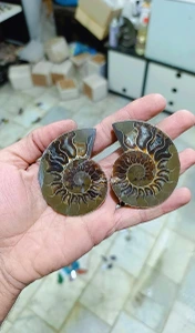 تصویر فروشگاه مرد سنگی