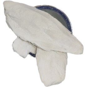 تصویر پودر کف دریا 150 گرم 