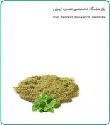 تصویر عصاره مرزنجوش خشک (پودری) 
