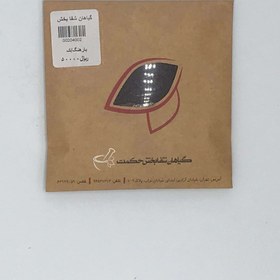 تصویر بارهنگ 