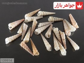 تصویر نگین صدف جذاب کد 139914 