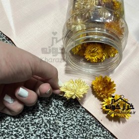 تصویر پک گل خشک واقعی 
