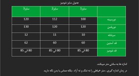تصویر شومیز آلما 