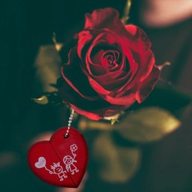 تصویر KS245 LoveUSB Flash Drive 2.0 32GB KS245 LoveUSB Flash Drive 2.0 32GB