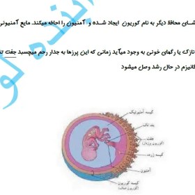 تصویر خلاصه روانشناسی رشد لورا برک 1 