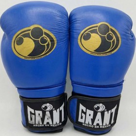 تصویر دستکش بوکس گرنت A++ GRANT(Blue) 