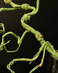 تصویر ریشه فومی وارداتی 