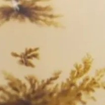 تصویر سنگ شجر کد 2324 