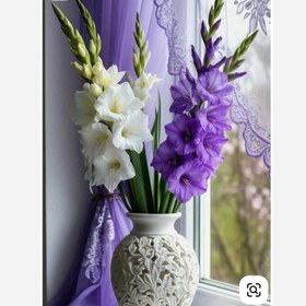 تصویر پیاز گلایل رنگ بنفش روشن 