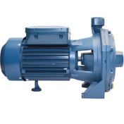 تصویر پمپ آب خانگی اسکواردی مدل IB210-P دو پروانه دو اسب 