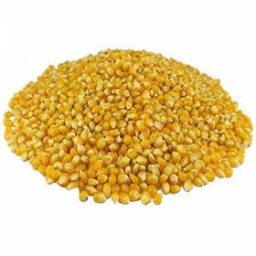تصویر ذرت پفیلا 5 کیلویی 