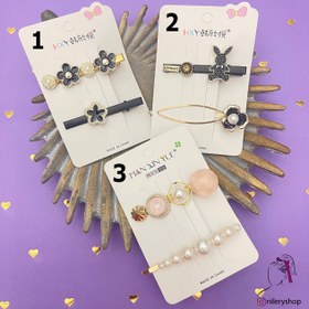 تصویر گیره مجلسی ژورنالی 