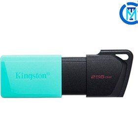 تصویر فلش مموری کینگستون KINGSTON مدل DTXM ظرفیت 256 گیگابایت DataTraveler Exodia M USB flash drive 256GB