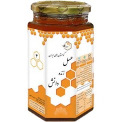 تصویر عسل زنده طبیعی 3 ستاره دانش یک کیلویی 