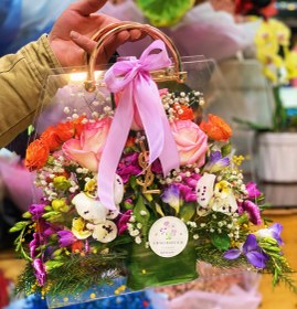 تصویر باکس طلقی 