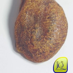 تصویر راف کهربای بالتیک 