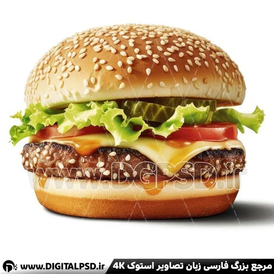 خرید و قیمت عکس با کیفیت برگر در زمینه سفید | ترب