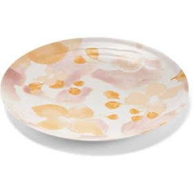 تصویر سینی سرو آبرنگی چیبو 