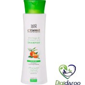 تصویر شامپو سینره گریپ فروت و مورینگا مناسب موی چرب ا Cinere Shampoo moringa and Graperfruit For Oily Hair 250ml Cinere Shampoo moringa and Graperfruit For Oily Hair 250ml