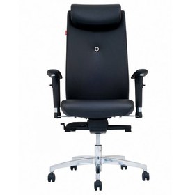 تصویر صندلی مدیریتی نیلپر مدل OCM910 