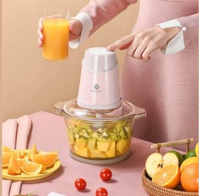 تصویر چرخ گوشت و غذاساز شیائومی Xiaomi Liven multifunctional meat grinder JRJ-W309 