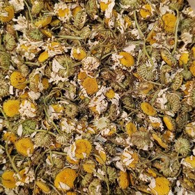 تصویر بابونه chamomile