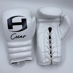 تصویر دستکش بوکس 