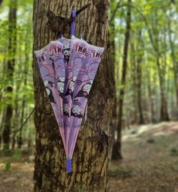 تصویر چتر کرومی 