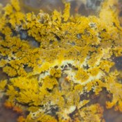 تصویر عقیق پاییزه سایز مدالی Agate paize