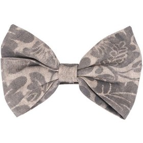 تصویر پاپیون طرح دار 