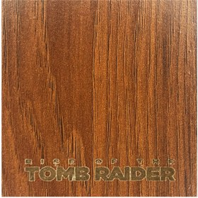 تصویر زیرلیوانی بازی tomb raider 