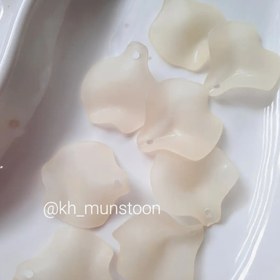 تصویر گلبرگ چیپسی 