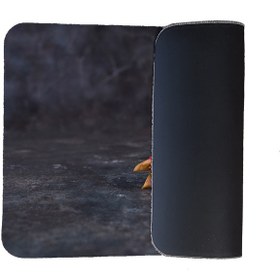 تصویر آبگیر کنار سینک کد 9378 