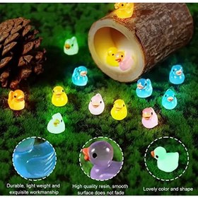 تصویر موجودات شب تاب 